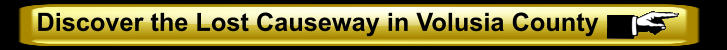 Discover the Lost Causeway in Volusia County